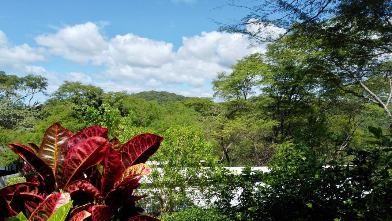 Pacific Kalokairi - Adults Only Otel Tamarindo Dış mekan fotoğraf